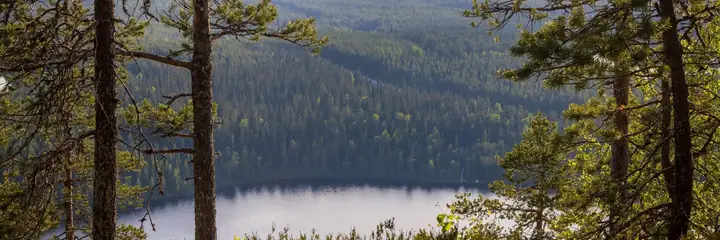 Landschaft in Finnland