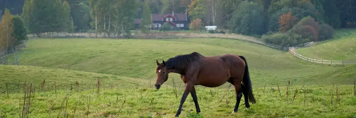 Landschaft in Norwegen