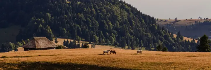Landschaft in Rumänien