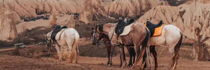 Landschaft in Türkei