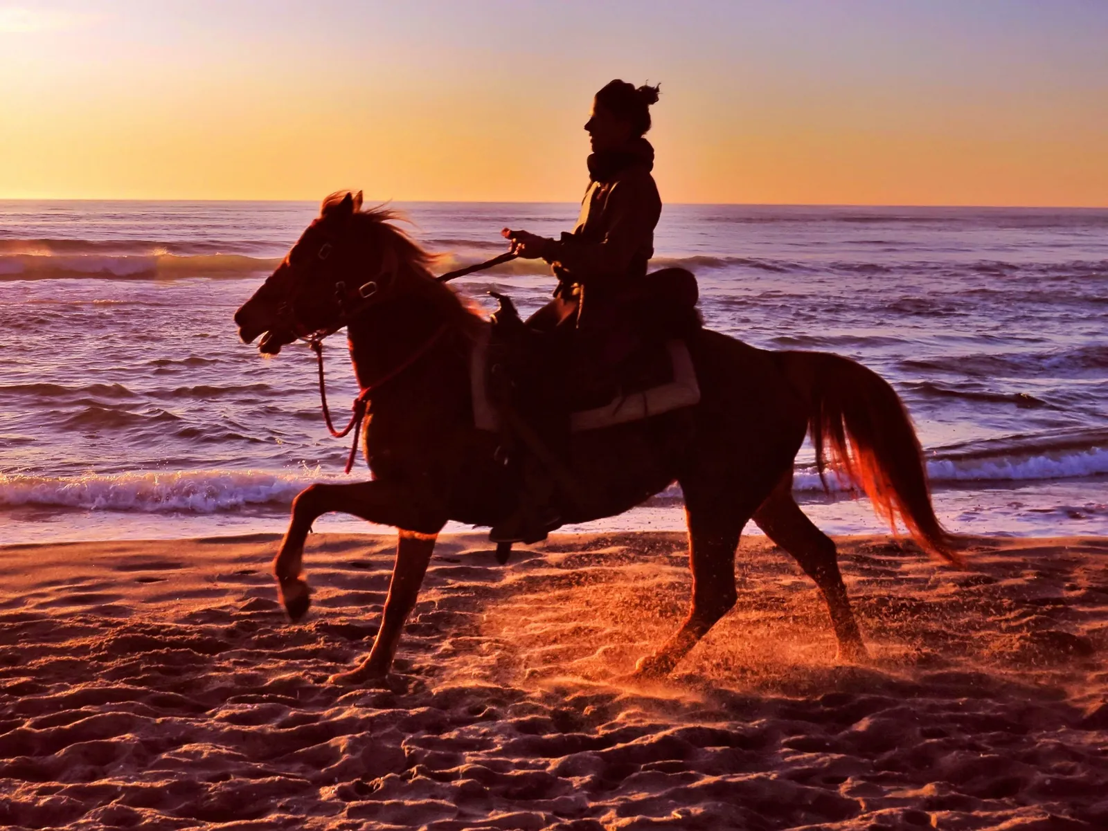 Rider in silhouette on the Tuscan beach