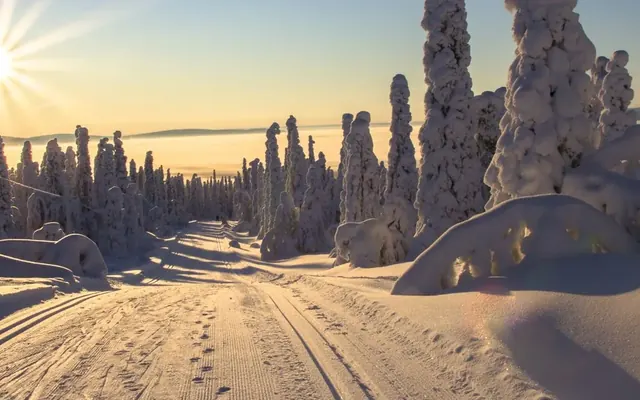 Winterlandschaft in Lappland