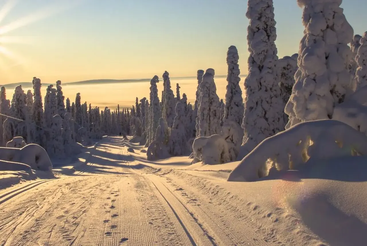 Winterlandschaft in Lappland