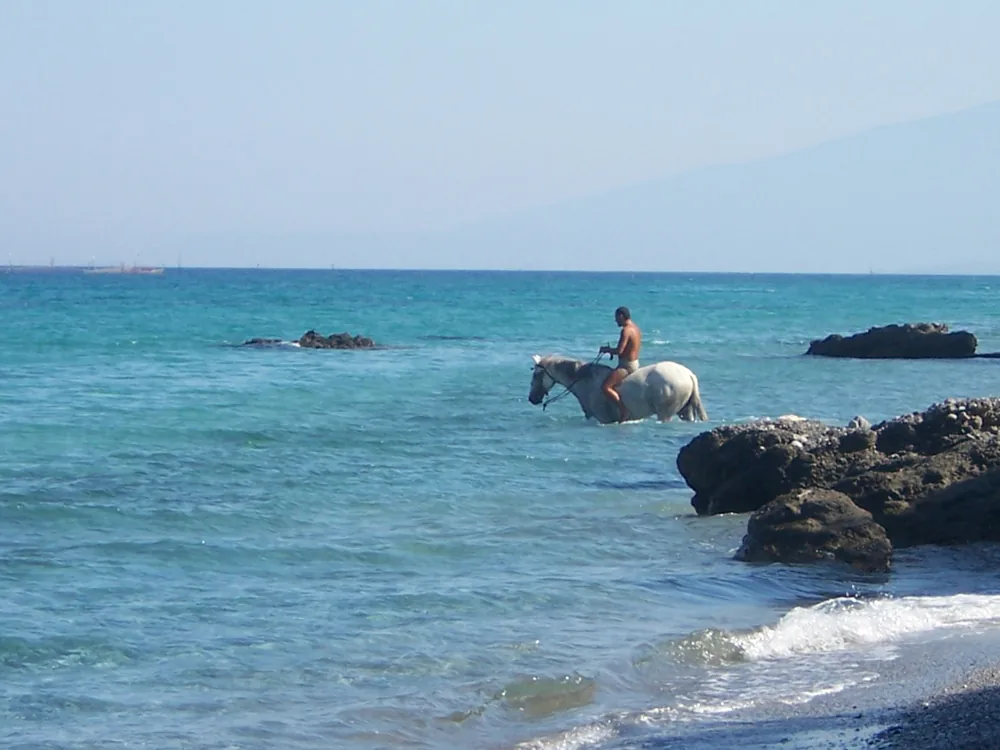 A rider on a grey horse in shallow sea in front of rocks